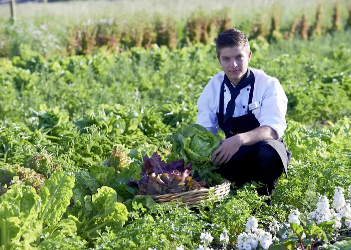 Mintrops Land Burgaltendorf Ξενοδοχείο