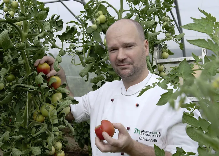 Mintrops Land Burgaltendorf Έσσεν